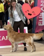 8daee09f4640f2cfcfdc879956740466_176x226