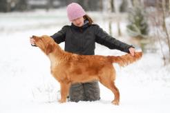 8e1aef48e85771d778fc2d2c1567ff62_246