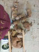 8e22e20e5e01d164768d3df37c48ed81_138x184