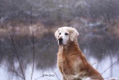 8e5b085bb74776c50934d3b53d39afb0_245