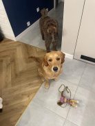 8e8566c0d1fd6aaad0635f76566083b3_138x184_fill