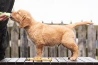 8f15150cc91503644fc8a5a22e1d05a2_195x130_fill