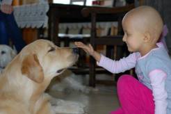 8f8e0b0c6872a75ce792c35465671a2e_246x164_fill