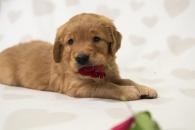 8f9a1ef445d7bb67c80fa12cb99eae14_195x130_fill