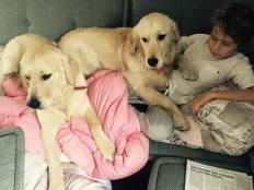 8fc6b92644438739c3ae8a0ce013de39_232x174_fill