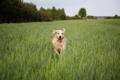 8fc9f2a1aa9df87d297d50c65ba73ad9_246x164_fill