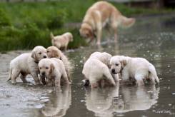 8fe1f72068f5c37a762b34054242accb_245