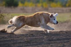 90316ca729fe9760672547d24062b042_246x164_fill