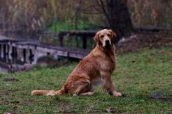 9040392428d8a9401993693a8e081192_246