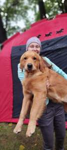 90577bfcd370c9979ea0d0c939817a3d_134x297