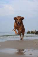 907d87f072e290dffff7327d15806b84_130x194