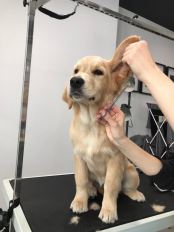 90927ec1091ca3b3161530b3a2d19624_174x232_fill