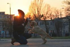 909d5f5b2f65e9476e60f593a14ef019_246