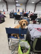 90bb0788d2b92c3feea9ba90025e5428_138x184_fill