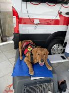 910b99acac0f417f094b0e2648be4864_138x184_fill