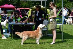 9127084da1cc4cb8c017d26e3bfc6fe5_246x164_fill