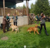 91562aa93a2d7d17704c32c3ac244a8f_164