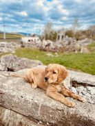 9168291c6cf8039cf7487de0335d0773_138x184_fill