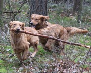 916939c89511f1e15ae4207003077582_180