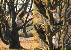 91902b8df0f6299d3af8af9af6259df9_237