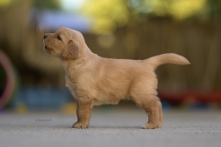 91e9683e040829ef65e94442725562cc_246