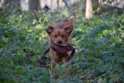 92291b27b83bd6b497c57216b43232a6_245