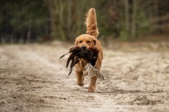 9238250ac09df62b1ee1ba88aae13877_246