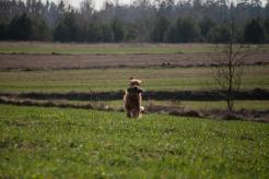 924201d4629d94973f178245dfdf3049_246x164_fill