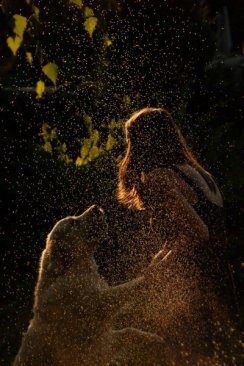 924f5828d6d41cda5ab1c8f2f81fa9df_244x366_fill