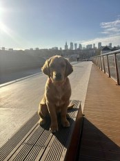 925a7ab5b7ef413922ca8b6f69d3c8c4_174x232_fill