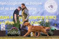 926b9c612bddc2ae12e258ab04c29248_246