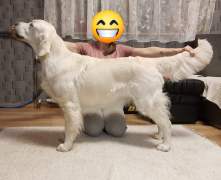 92b5aece20f5d0d002858c59d852c1dd_221