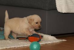 92e111b65ee09696e011811de13c42a1_245