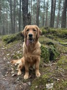 93614921aa2d698bc4c87821e9c91f2c_138x183