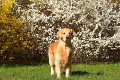 93c31be277a093b77b16762eb824ad97_245