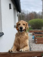 93ef6513c02064fb25468add6ee8fe65_174x232_fill