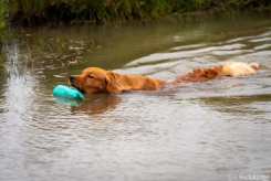 93f9925ce83decff812b4e41e238596c_245