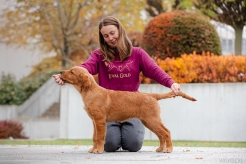 9419e86d945d12faf4fb92c9ec981cde_246