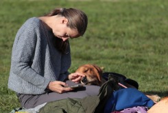 941d54db5d801a00031dcf186e37d996_245