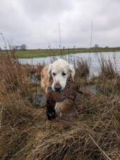 94682998c3b318be5a3ebef48b05f19e_174x231