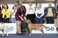 9477591e73e146009e582b16471d5c69_196