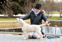 947dd2a905569443becfbd10009d8eb9_245