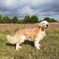 94d7371663b0d3d88c63771e188a293a_200