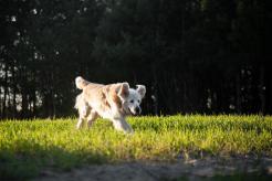 94e11cfaa13c39247075fa6c2179e0ab_246x164_fill