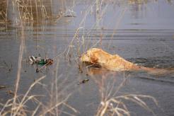 950407a18999eed0213df32d94089b67_246x164_fill