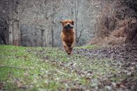 9531c9ce637919fd682b1d784336ac9a_195x130_fill