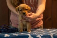 95339eb7f2befd8ec3e25e4c51bfabcc_194