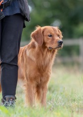 95b1ba4359e2bca78deb30f2b2667b66_168x236