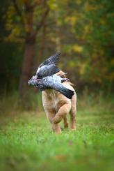 95c3d7c69ecc69069b350f638def2427_164x245