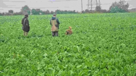 960083f4e08d611829558b2dbbdda094_266